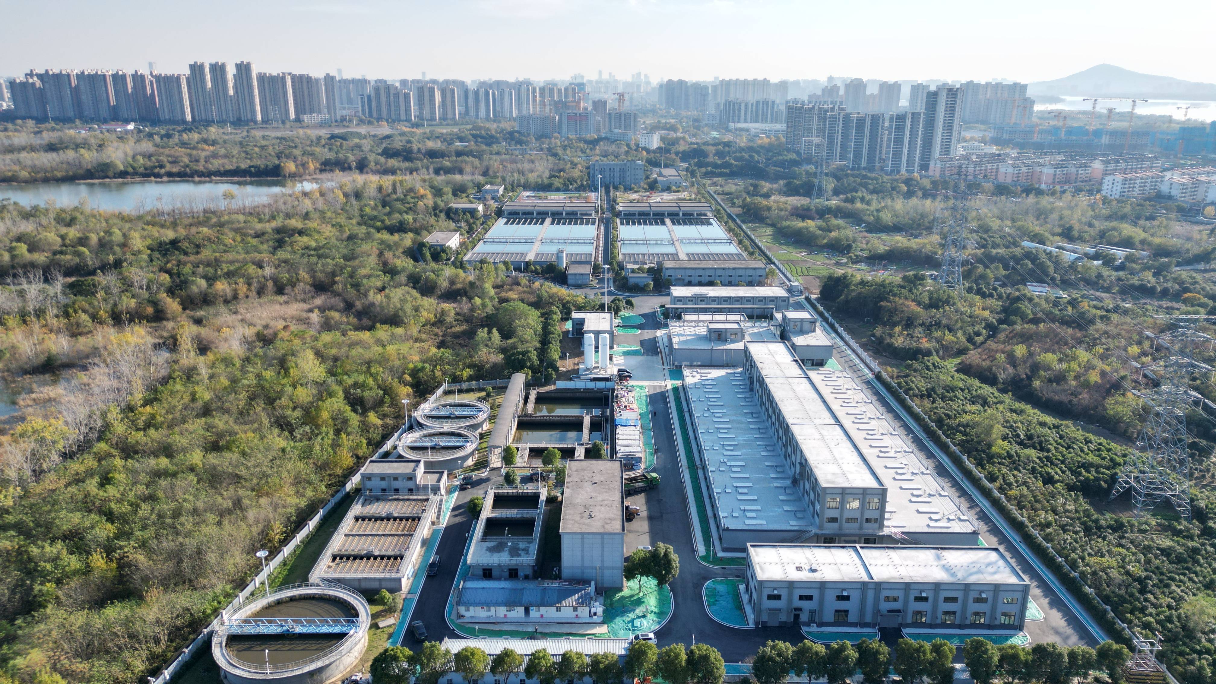 铁门关市合肥专业企业价值增长(合肥市重点企业产业目录)