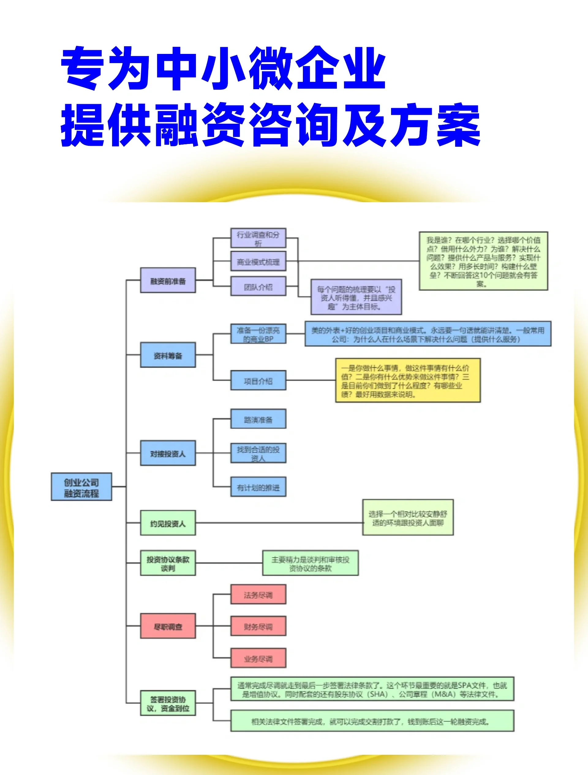 铁门关市宠物企业资金管理(宠物管理机构叫什么)