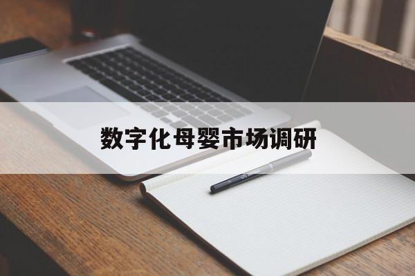铁门关市数字化母婴市场调研(数字化母婴市场调研报告)